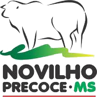 novilho precoce ms